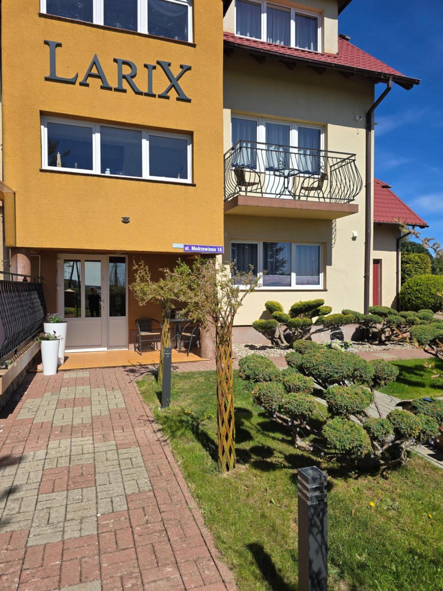 Larix Проживання в сім'ї Реваль
